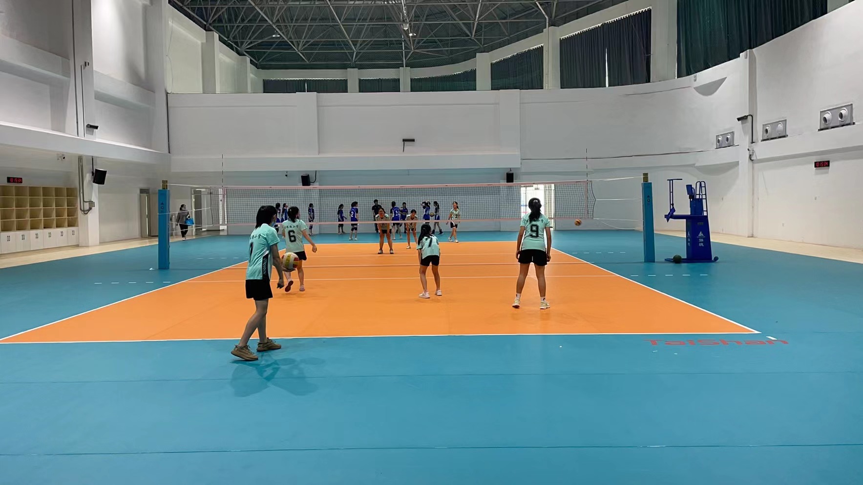 排球场案例